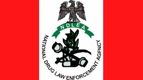 NDLEA arrests two octogenarians, seizes N3.2 billion worth opioids in nationwide raids