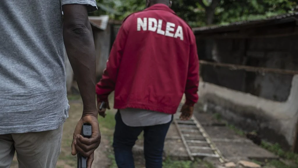 NDLEA busts drug cartel smuggling cocaine through Hajj route NDLEA busts drug cartel smuggling cocaine through Hajj route