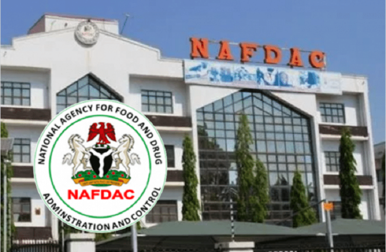 NAFDAC shuts down illegal herbal medicine facility in Kaduna