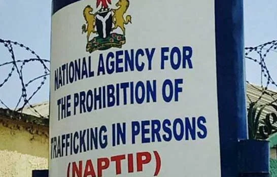 NAPTIP records double victory in human trafficking cases NAPTIP records double victory in human trafficking cases