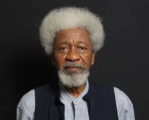 Call Seyi Tinubu to order, Wole Soyinka tells President Call Seyi Tinubu to order, Wole Soyinka tells President