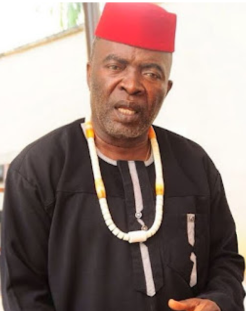 Igbo filmmaker linked to alleged coup plot against Tinubu