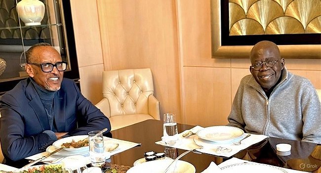 Presidency denies AI claims over Tinubu–Kagame Paris lunch photo