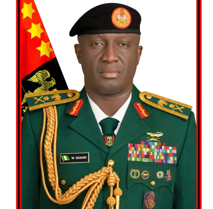 Army making progress in rescue of abducted Oyo pupils, teachers — COAS
